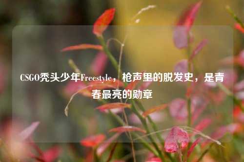 CSGO秃头少年Freestyle，枪声里的脱发史，是青春最亮的勋章