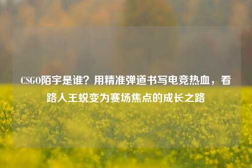 CSGO陌宇是谁?用精准弹道书写电竞热血,看路人王蜕变为赛场焦点的成长之路