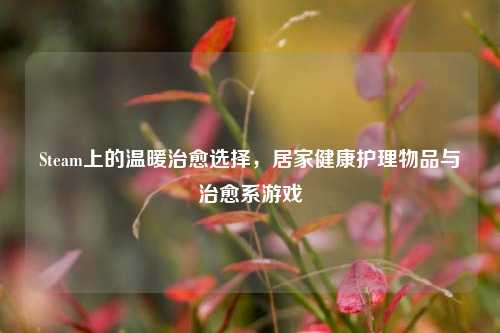 Steam上的温暖治愈选择,居家健康护理物品与治愈系游戏