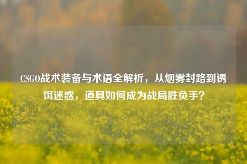 CSGO战术装备与术语全解析,从烟雾封路到诱饵迷惑,道具如何成为战局胜负手?