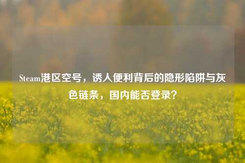 Steam港区空号，诱人便利背后的隐形陷阱与灰色链条，国内能否登录？