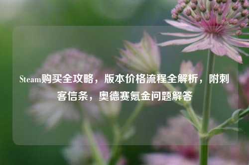 Steam购买全攻略,版本价格流程全解析,附刺客信条,奥德赛氪金问题解答