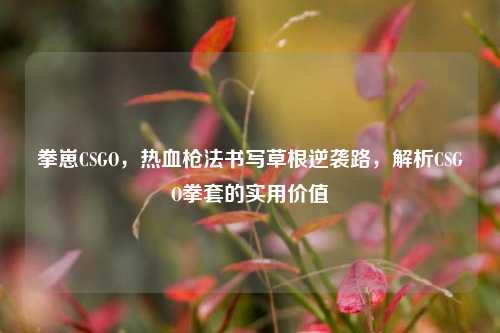 拳崽CSGO,热血枪法书写草根逆袭路,解析CSGO拳套的实用价值