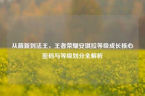 从萌新到法王,王者荣耀安琪拉等级成长核心密码与等级划分全解析
