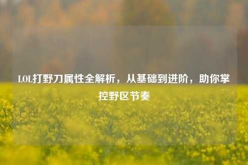 LOL打野刀属性全解析,从基础到进阶,助你掌控野区节奏