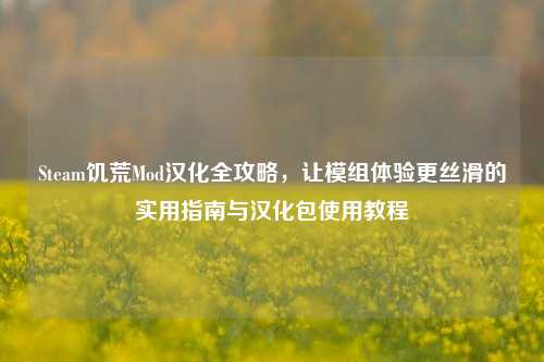 Steam饥荒Mod汉化全攻略,让模组体验更丝滑的实用指南与汉化包使用教程