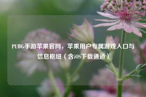 PUBG手游苹果官网,苹果用户专属游戏入口与信息枢纽(含iOS下载通道)