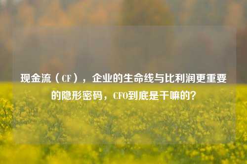 现金流(CF),企业的生命线与比利润更重要的隐形密码,CFO到底是干嘛的?