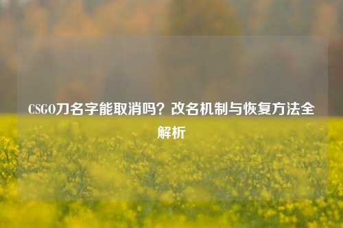 CSGO刀名字能取消吗?改名机制与恢复 *** 全解析