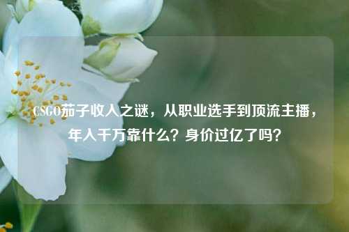 CSGO茄子收入之谜,从职业选手到顶流主播,年入千万靠什么?身价过亿了吗?