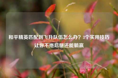 和平精英匹配到飞升队伍怎么办？3个实用技巧让你不拖后腿还能躺赢
